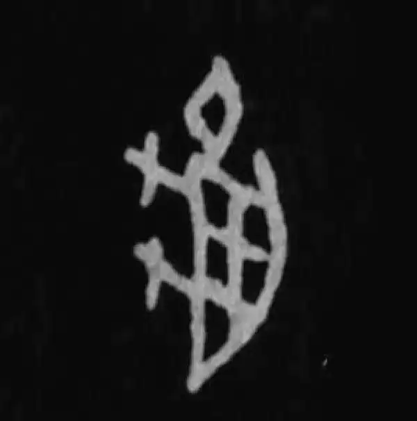 殷墟甲骨文·龟