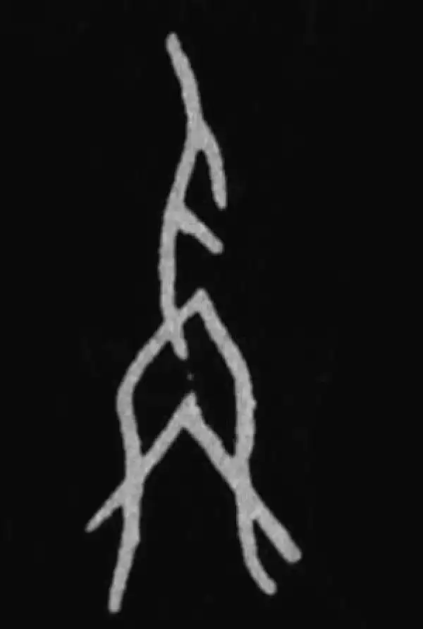 殷墟甲骨文·稱