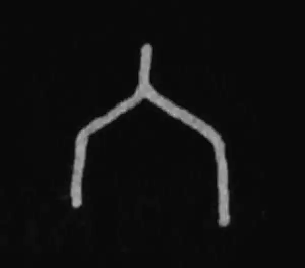 殷墟甲骨文·六