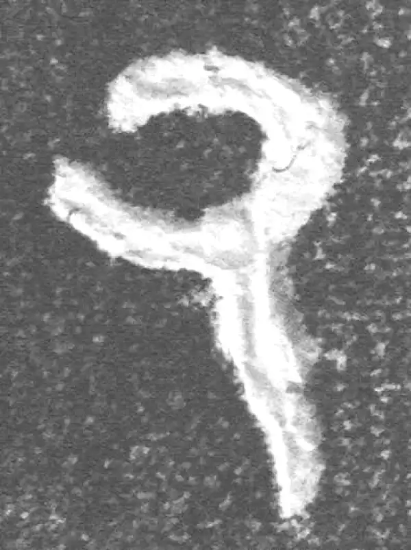 金文·(冬戈)簋·厥