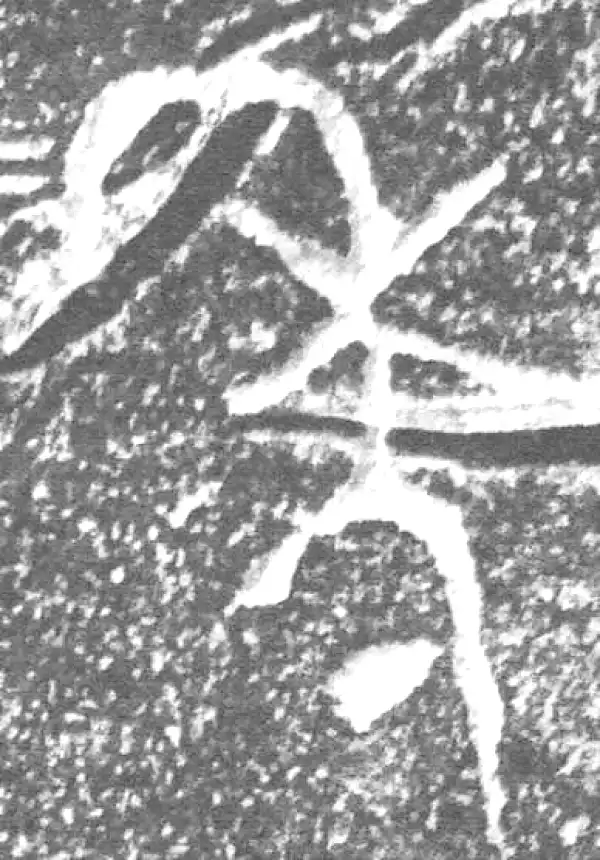 金文·四十三年逨鼎·年