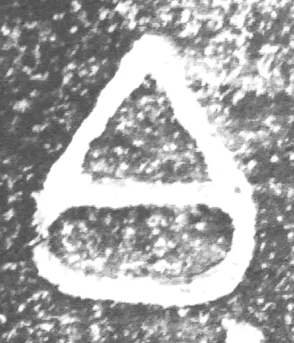 金文·裘卫盉·白