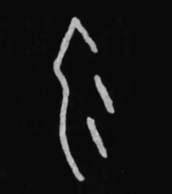 殷墟甲骨文·勿