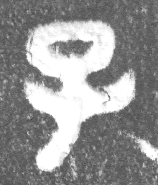 金文·(冬戈)簋·子