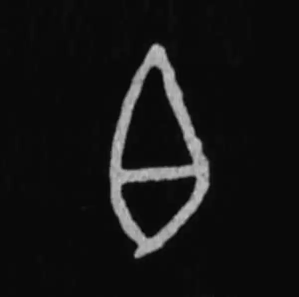 殷墟甲骨文·白