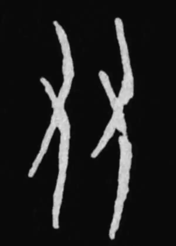 殷墟甲骨文·友