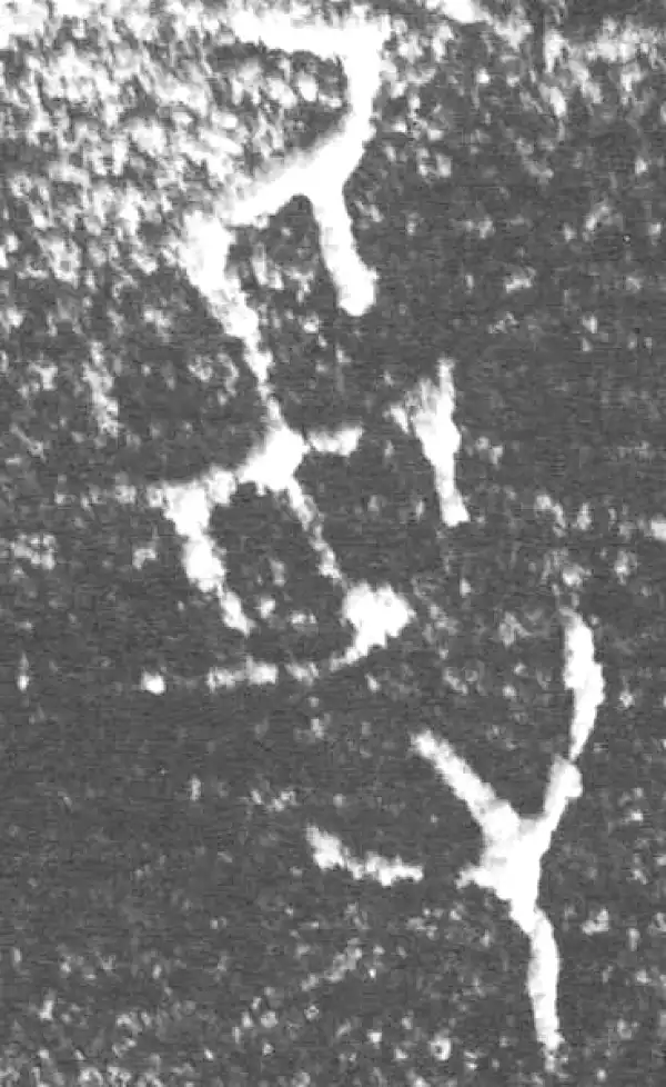 金文·四十三年逨鼎·受