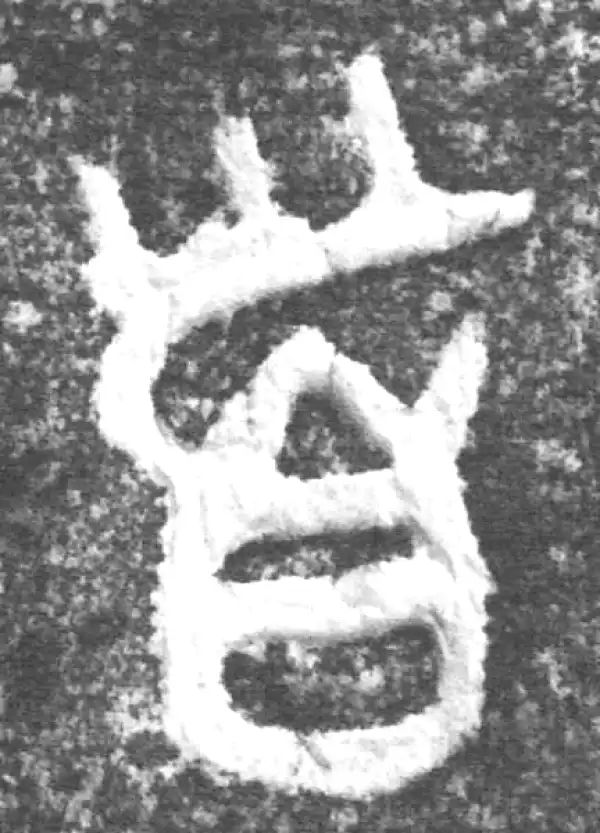 金文·南宫乎钟·首