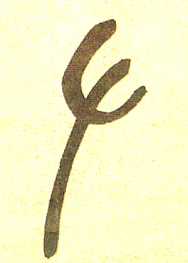 吴昌硕·篆书·左