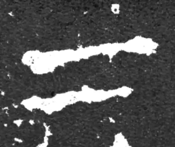 金文·毛公鼎铭文·二