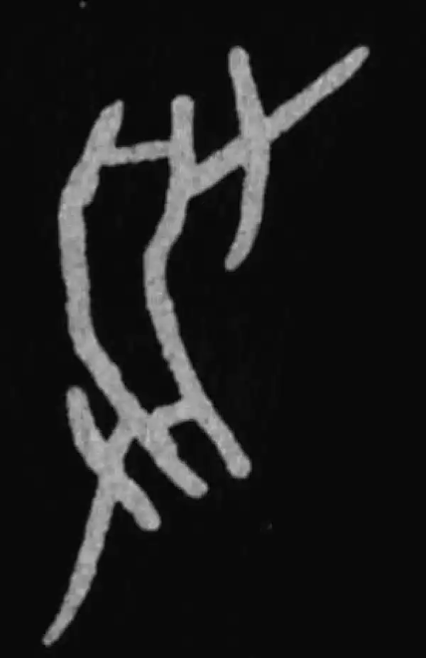 殷墟甲骨文·受