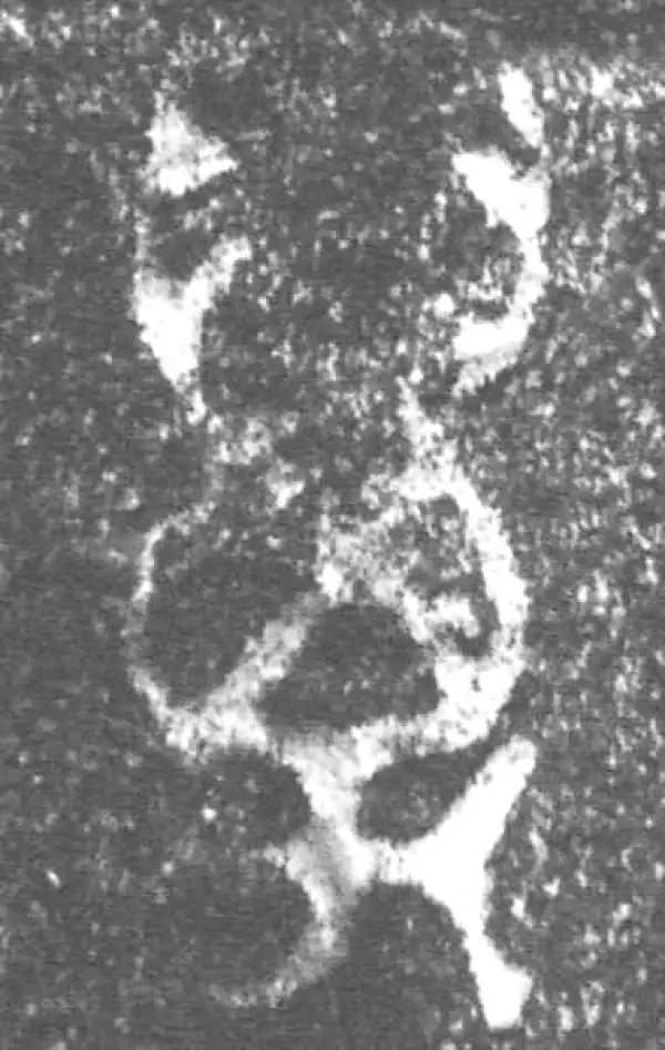 金文·伯辛父鼎·萬