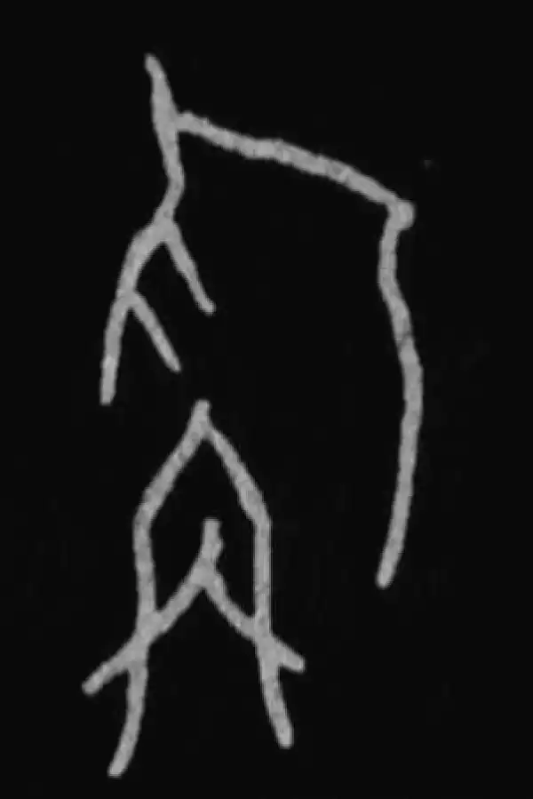 殷墟甲骨文·称