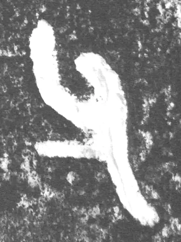 金文·叔赵父剑鞘饰·父