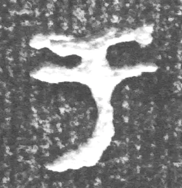 金文·四十二年逑鼎乙·於