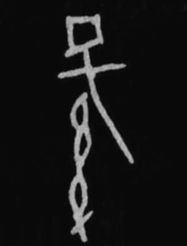 殷墟甲骨文·孙