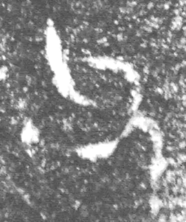 金文·伯辛父鼎·父