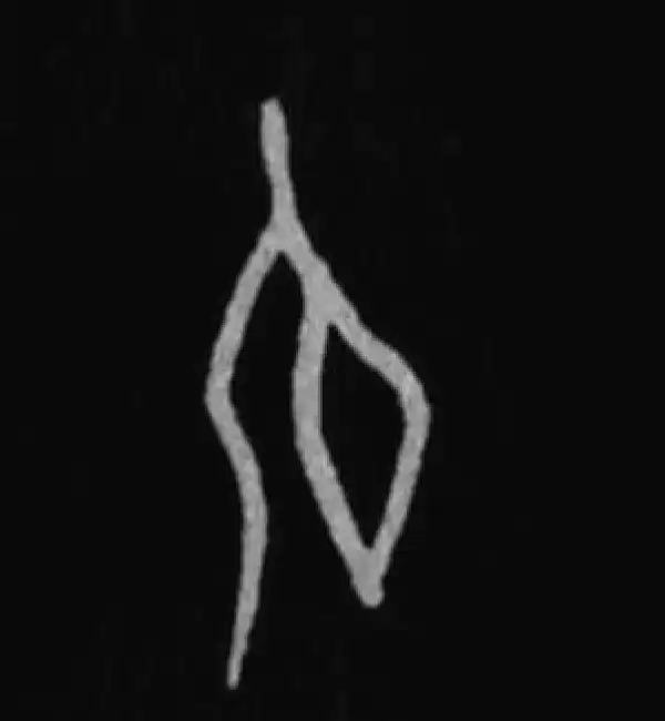 殷墟甲骨文·氏