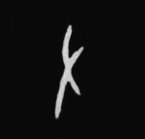 殷墟甲骨文·左