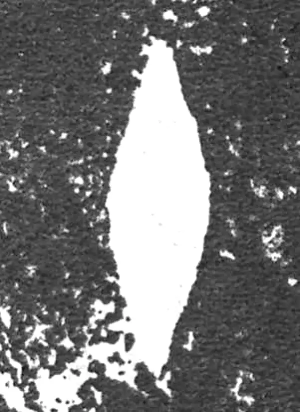 金文·大盂鼎铭文·十