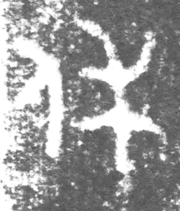 金文·丕指方鼎·休