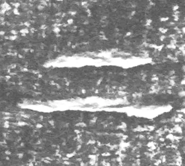 金文·四十二年逑鼎乙·上