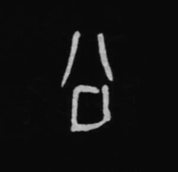 殷墟甲骨文·公