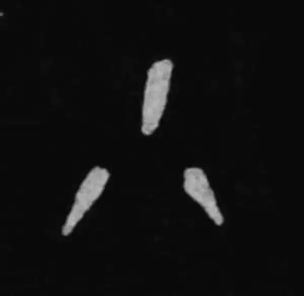 殷墟甲骨文·小