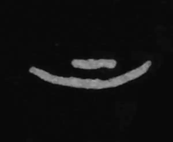 殷墟甲骨文·上