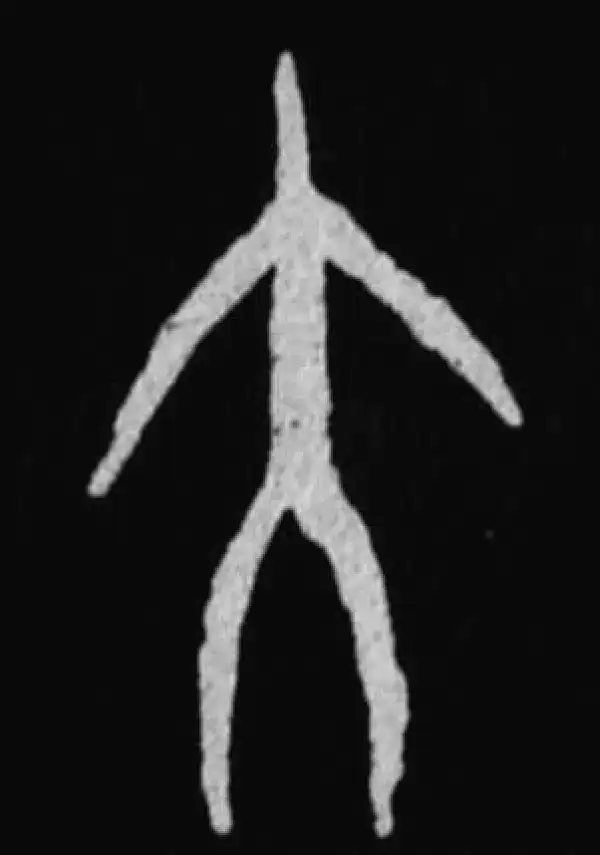 殷墟甲骨文·大