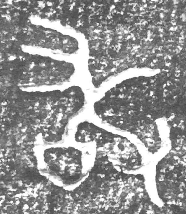 金文·四十二年逑鼎乙·敢