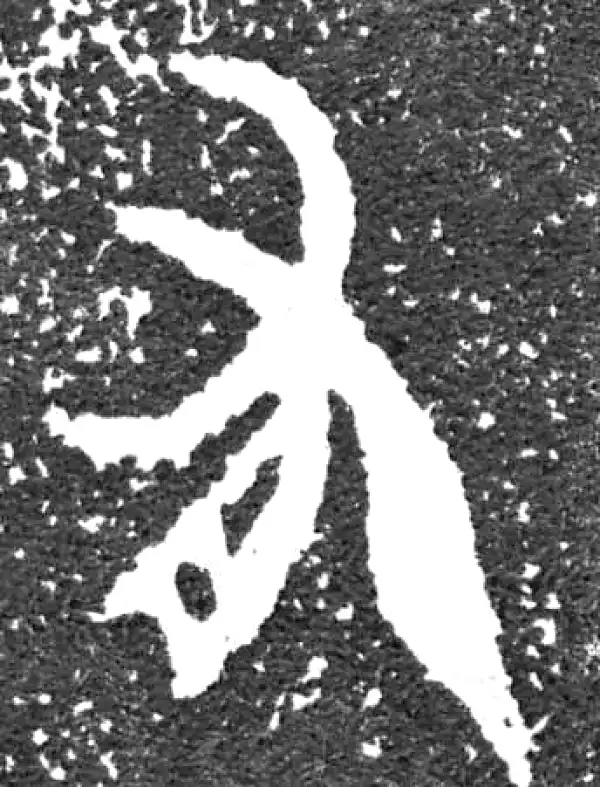 金文·大盂鼎铭文·有