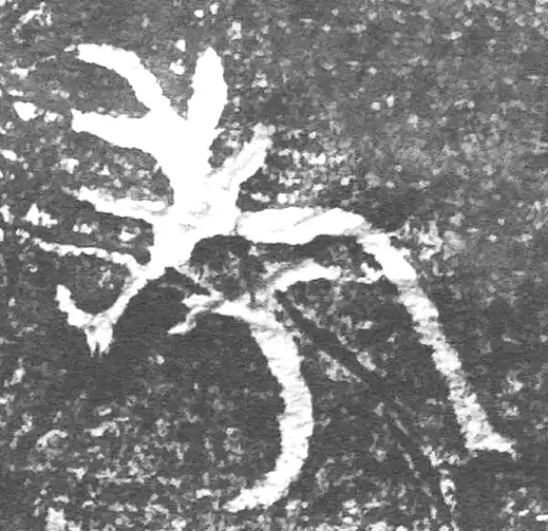 金文·四十二年逑鼎乙·考