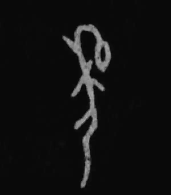 殷墟甲骨文·年