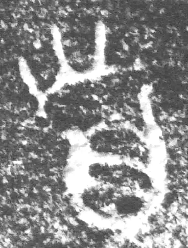 金文·四十三年逨鼎·首