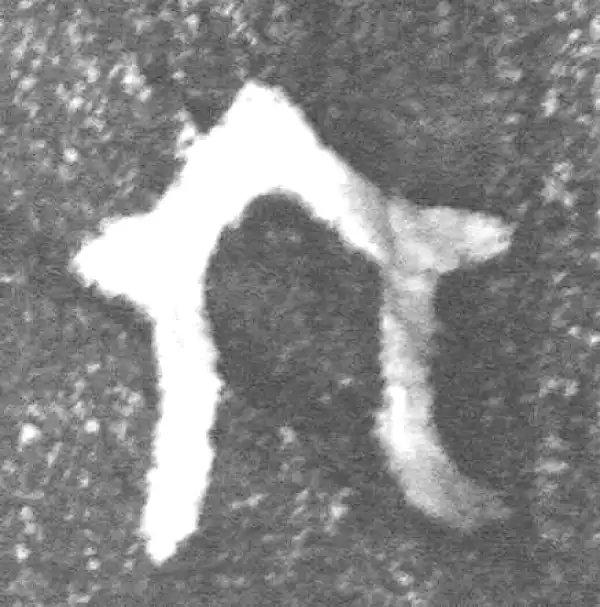 金文·(冬戈)簋·六