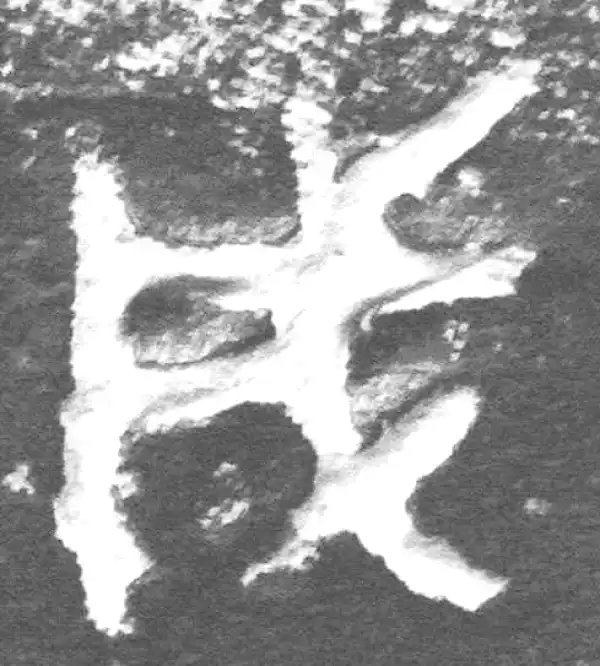 金文·九年卫鼎·成