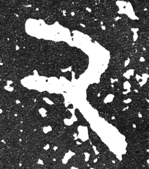 金文·散氏盘铭文·厥