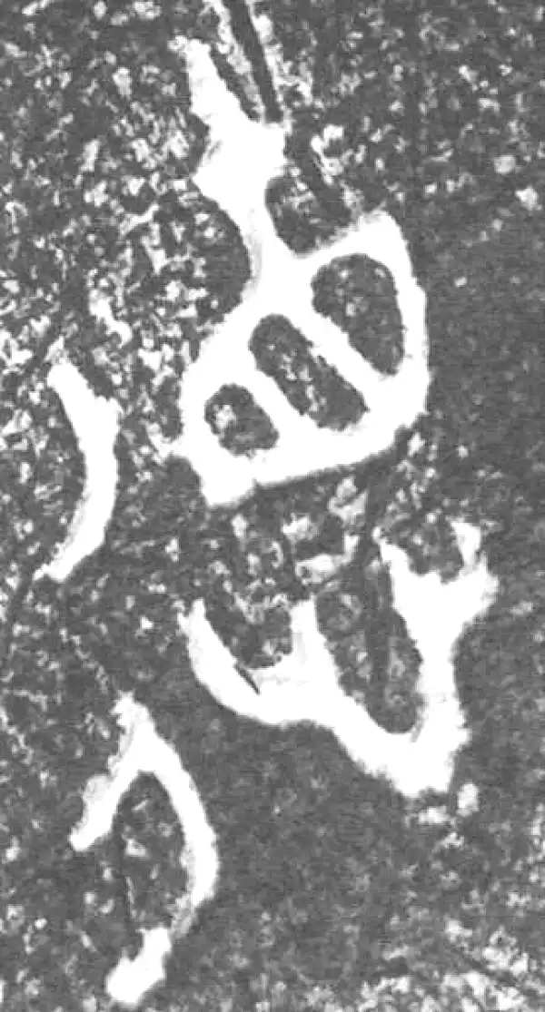 金文·四十二年逑鼎乙·德