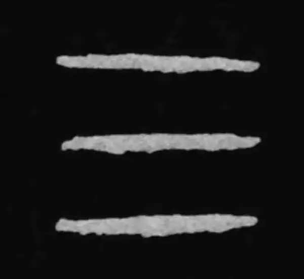 殷墟甲骨文·三