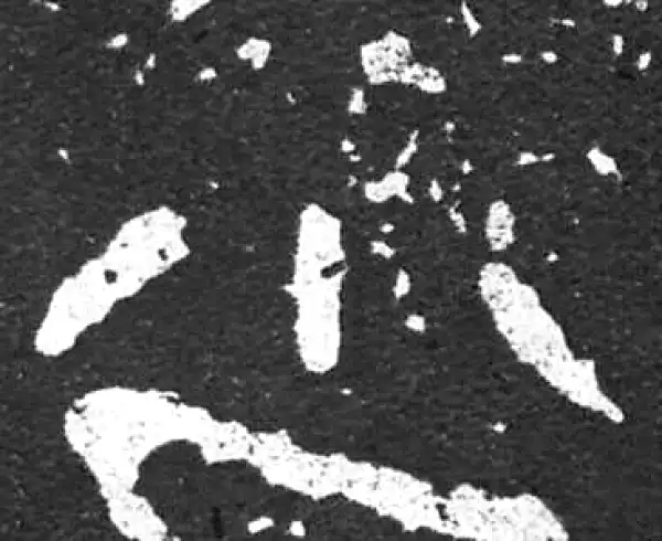 金文·散氏盘铭文·小