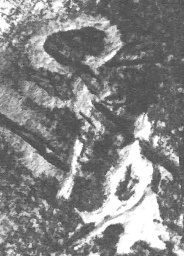 金文·四十二年逑鼎乙·孙