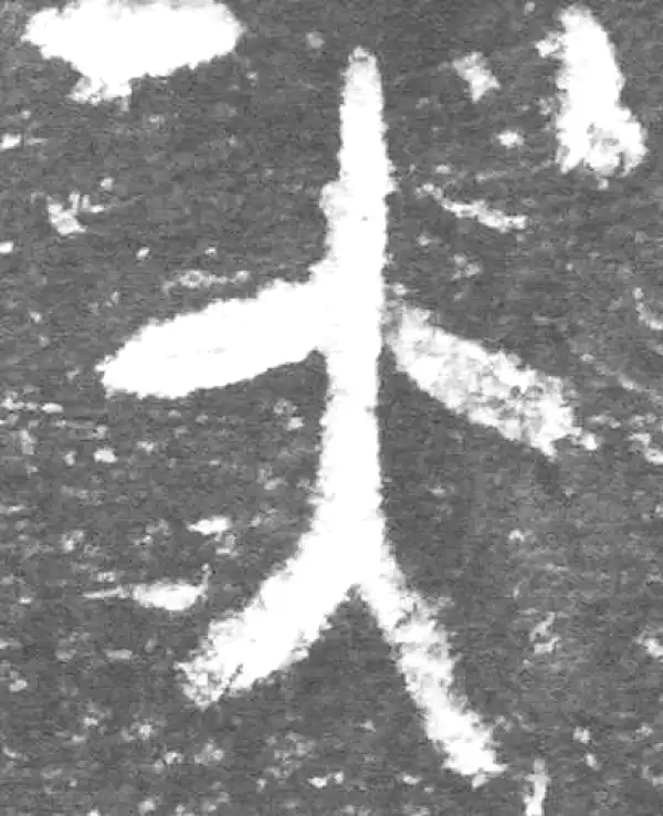 金文·九年卫鼎·大