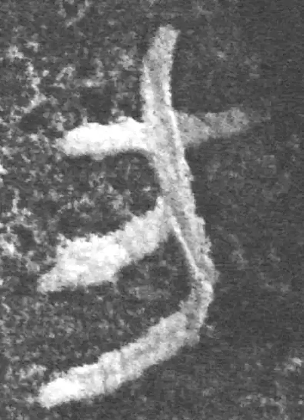 金文·南宫乎钟·方