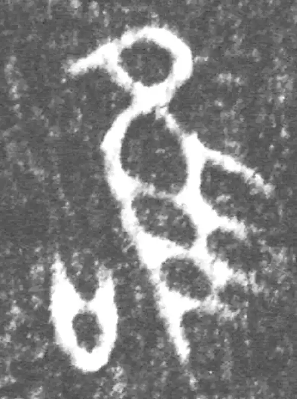 金文·伯吉父簋·唯