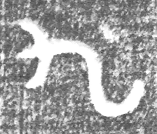 金文·(冬戈)方鼎甲·九