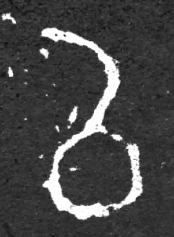 金文·毛公鼎铭文·以