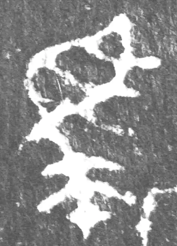 金文·公臣簋乙·马