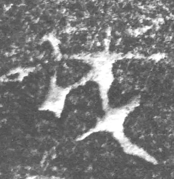 金文·四十三年逨鼎·我