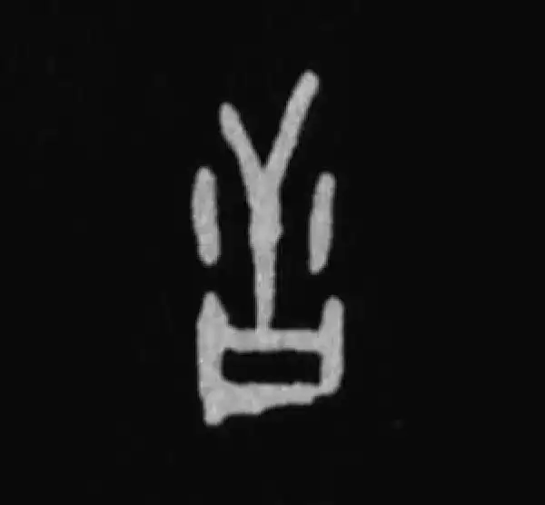 殷墟甲骨文·告